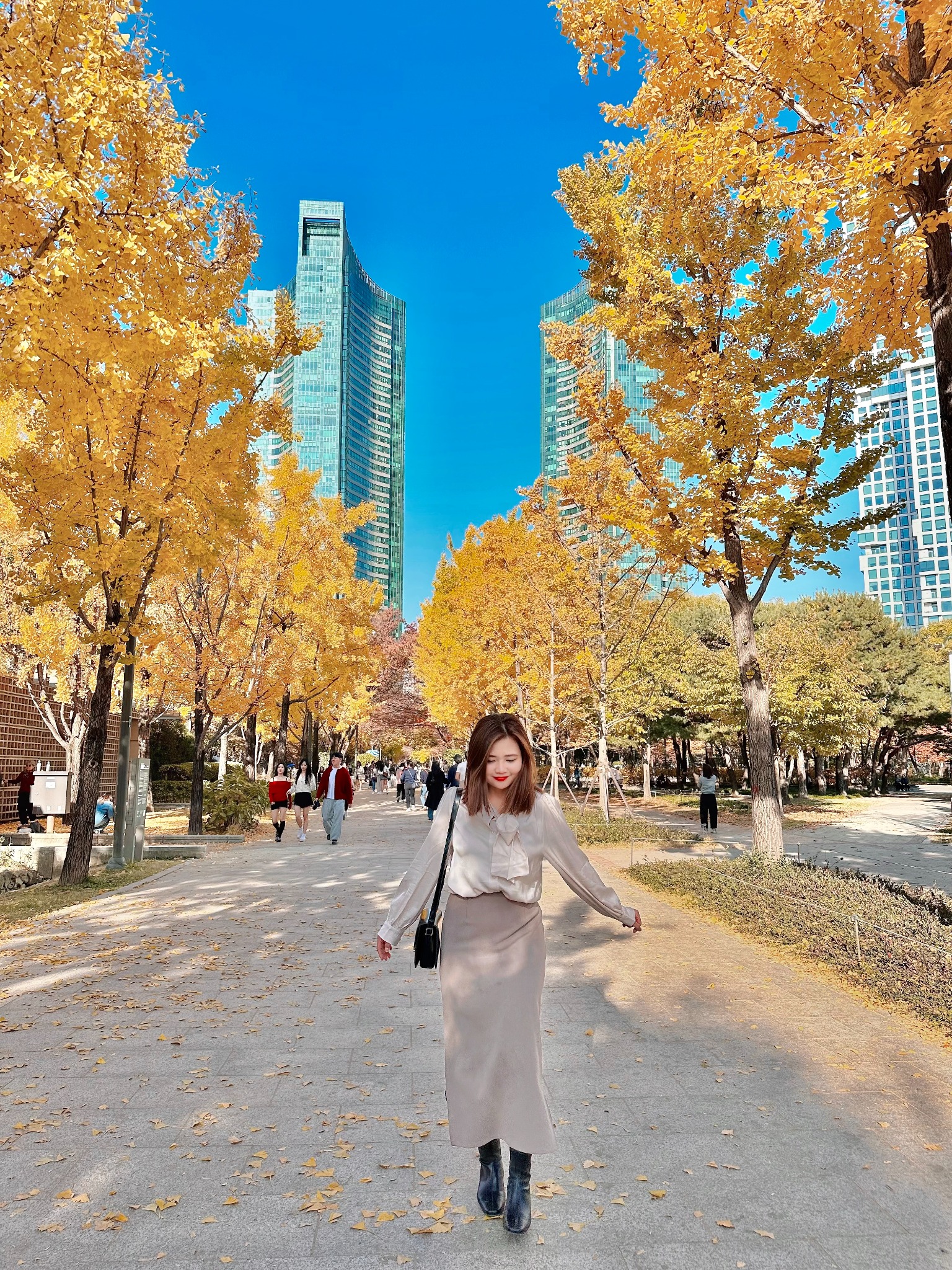 旅人在首爾金黃色銀杏樹下散步